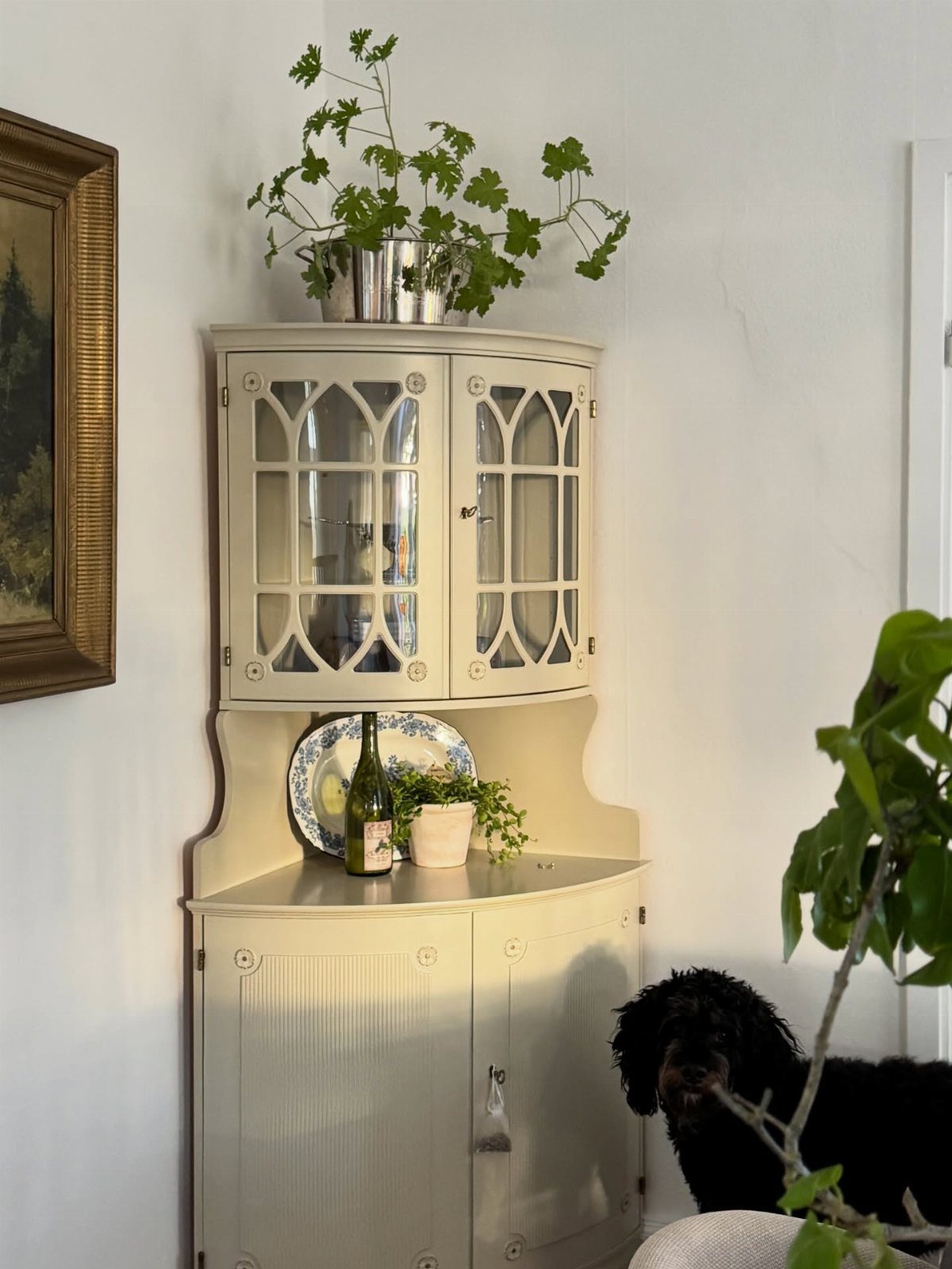 White vintage corner cabinet with glass doors holding decorative plates and potted plants.