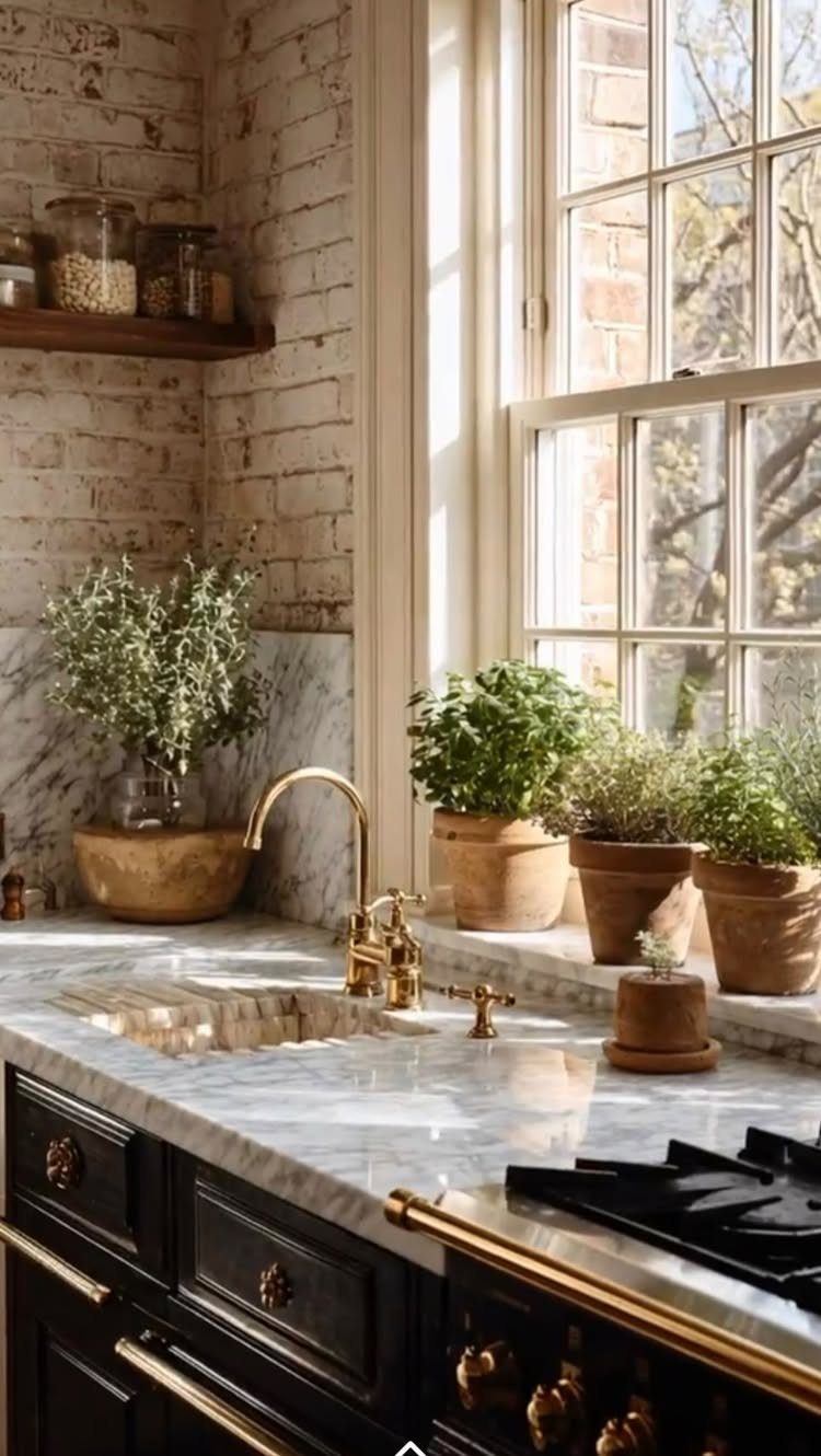 White marble kitchen countertop with gold faucet and potted herbs by a window.